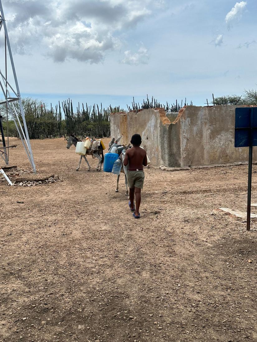 Niño transportando agua con burros en La Guajira